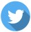 twitter icon