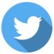 twitter icon