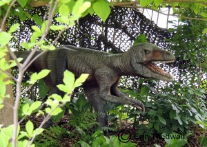 dinosaur