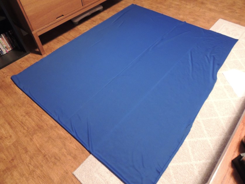 DIY Daenerys Targaryen Costume | Erin Thedwall